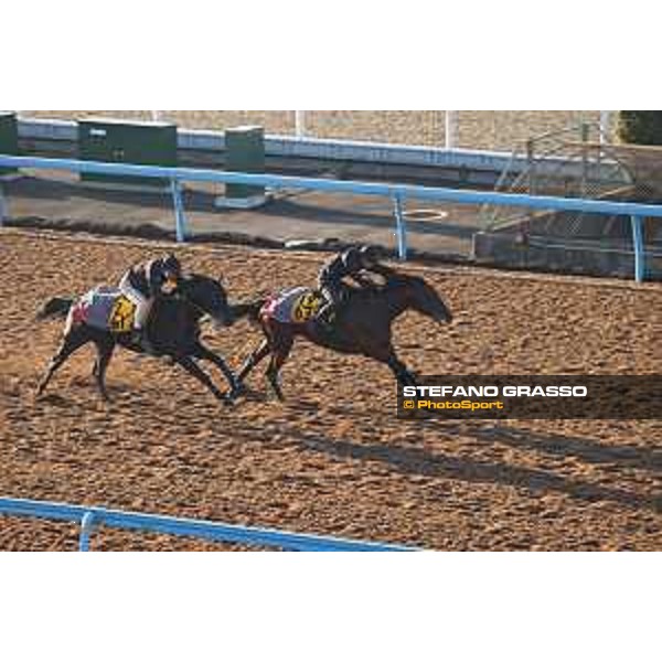 Japan Cup of Tokyo - - Tokyo, Fuchu Racecourse - 24 November 2023 - ph.Stefano Grasso/Longines A morning at MIHO training center