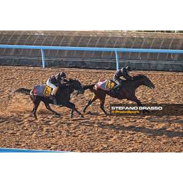 Japan Cup of Tokyo - - Tokyo, Fuchu Racecourse - 24 November 2023 - ph.Stefano Grasso/Longines A morning at MIHO training center