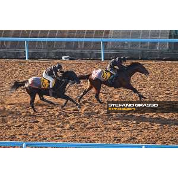 Japan Cup of Tokyo - - Tokyo, Fuchu Racecourse - 24 November 2023 - ph.Stefano Grasso/Longines A morning at MIHO training center
