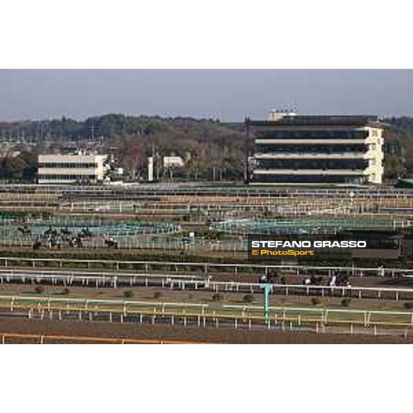 Japan Cup of Tokyo - - Tokyo, Fuchu Racecourse - 24 November 2023 - ph.Stefano Grasso/Longines A morning at MIHO training center