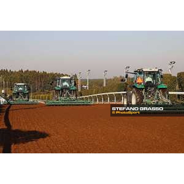 Japan Cup of Tokyo - - Tokyo, Fuchu Racecourse - 24 November 2023 - ph.Stefano Grasso/Longines A morning at MIHO training center