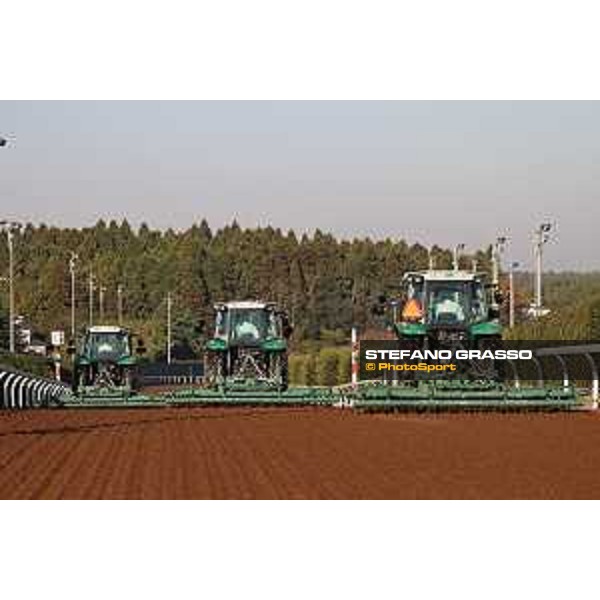 Japan Cup of Tokyo - - Tokyo, Fuchu Racecourse - 24 November 2023 - ph.Stefano Grasso/Longines A morning at MIHO training center