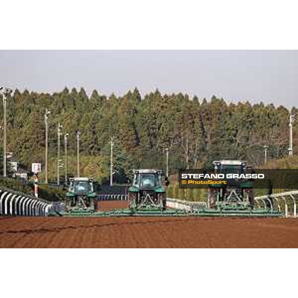 Japan Cup of Tokyo - - Tokyo, Fuchu Racecourse - 24 November 2023 - ph.Stefano Grasso/Longines A morning at MIHO training center