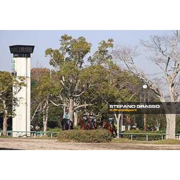 Japan Cup of Tokyo - - Tokyo, Fuchu Racecourse - 24 November 2023 - ph.Stefano Grasso/Longines A morning at MIHO training center