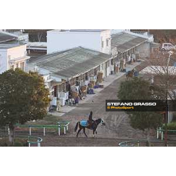 Japan Cup of Tokyo - - Tokyo, Fuchu Racecourse - 23 November 2023 - ph.Stefano Grasso/Longines A morning at MIHO training center