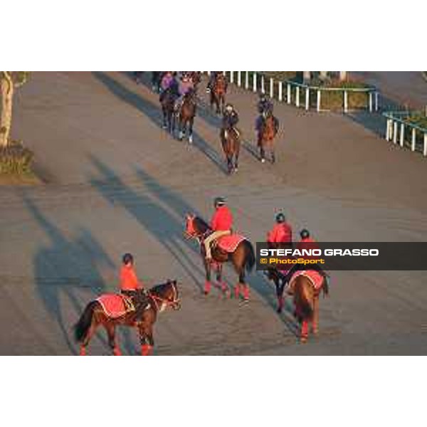 Japan Cup of Tokyo - - Tokyo, Fuchu Racecourse - 23 November 2023 - ph.Stefano Grasso/Longines A morning at MIHO training center