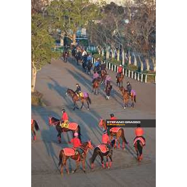Japan Cup of Tokyo - - Tokyo, Fuchu Racecourse - 23 November 2023 - ph.Stefano Grasso/Longines A morning at MIHO training center