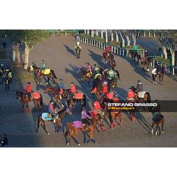 Japan Cup of Tokyo - - Tokyo, Fuchu Racecourse - 23 November 2023 - ph.Stefano Grasso/Longines A morning at MIHO training center
