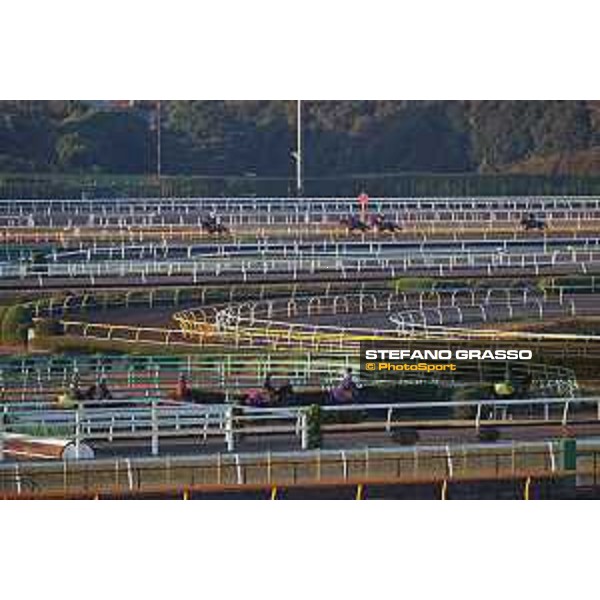 Japan Cup of Tokyo - - Tokyo, Fuchu Racecourse - 23 November 2023 - ph.Stefano Grasso/Longines A morning at MIHO training center