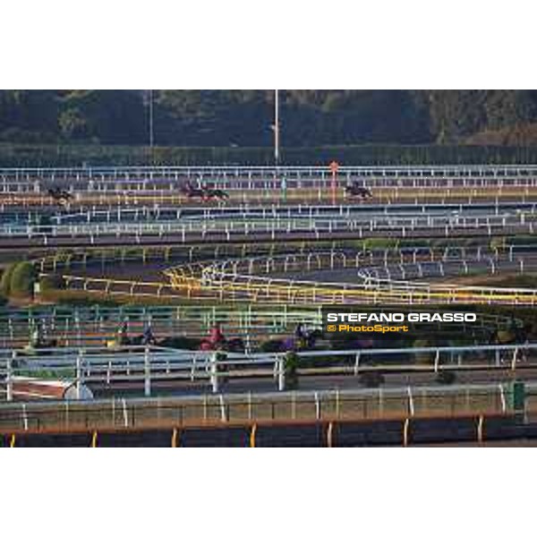 Japan Cup of Tokyo - - Tokyo, Fuchu Racecourse - 23 November 2023 - ph.Stefano Grasso/Longines A morning at MIHO training center