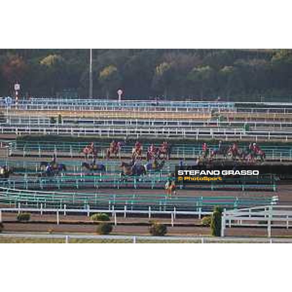 Japan Cup of Tokyo - - Tokyo, Fuchu Racecourse - 24 November 2023 - ph.Stefano Grasso/Longines A morning at MIHO training center