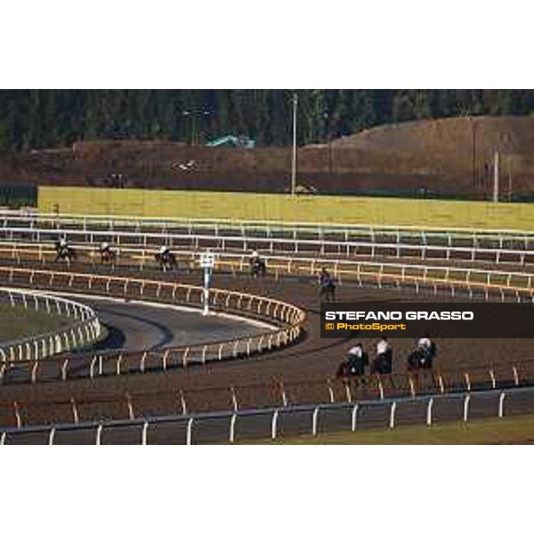 Japan Cup of Tokyo - - Tokyo, Fuchu Racecourse - 24 November 2023 - ph.Stefano Grasso/Longines A morning at MIHO training center