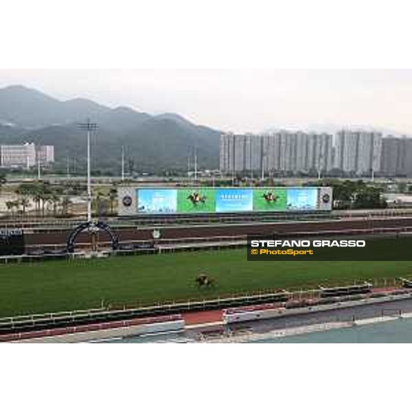 Longines Hong Kong International Races of Hong Kong - - Hong Kong, Sha Tin - 6 December 2023 - ph.Stefano Grasso/Longines Morning track works Highfiled Princess