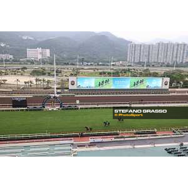 Longines Hong Kong International Races of Hong Kong - - Hong Kong, Sha Tin - 6 December 2023 - ph.Stefano Grasso/Longines Morning track works The French Contenders