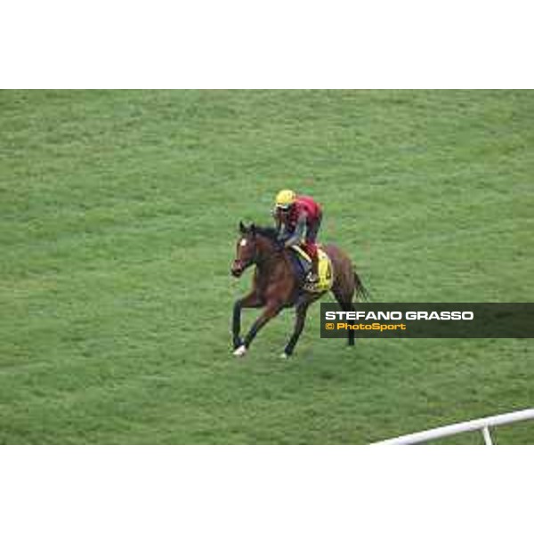 Longines Hong Kong International Races of Hong Kong - - Hong Kong, Sha Tin - 6 December 2023 - ph.Stefano Grasso/Longines Morning track works Highfiled Princess