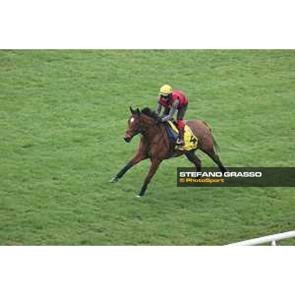 Longines Hong Kong International Races of Hong Kong - - Hong Kong, Sha Tin - 6 December 2023 - ph.Stefano Grasso/Longines Morning track works Highfiled Princess