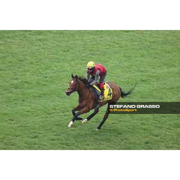 Longines Hong Kong International Races of Hong Kong - - Hong Kong, Sha Tin - 6 December 2023 - ph.Stefano Grasso/Longines Morning track works Highfiled Princess