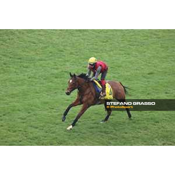 Longines Hong Kong International Races of Hong Kong - - Hong Kong, Sha Tin - 6 December 2023 - ph.Stefano Grasso/Longines Morning track works Highfiled Princess