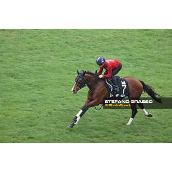 Longines Hong Kong International Races of Hong Kong - - Hong Kong, Sha Tin - 6 December 2023 - ph.Stefano Grasso/Longines Morning track works Prognosis
