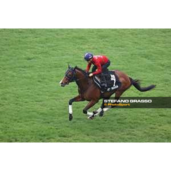 Longines Hong Kong International Races of Hong Kong - - Hong Kong, Sha Tin - 6 December 2023 - ph.Stefano Grasso/Longines Morning track works Prognosis