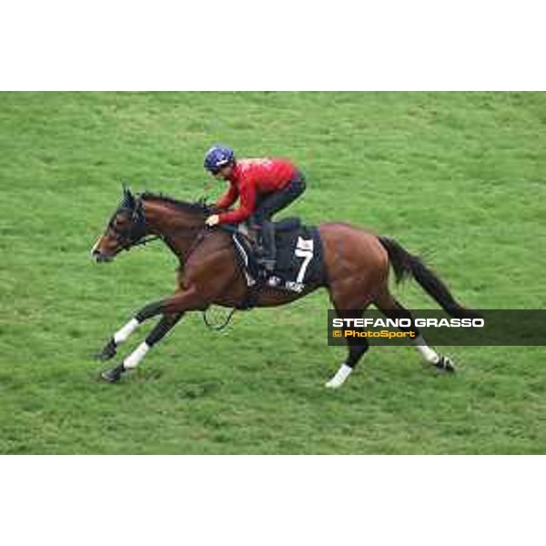 Longines Hong Kong International Races of Hong Kong - - Hong Kong, Sha Tin - 6 December 2023 - ph.Stefano Grasso/Longines Morning track works Prognosis