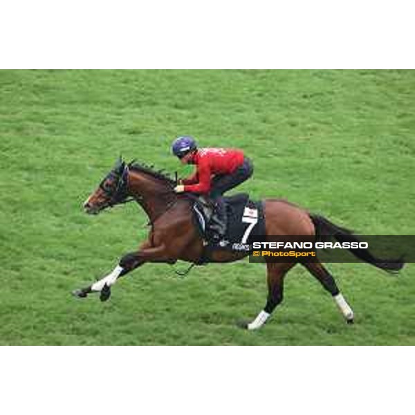 Longines Hong Kong International Races of Hong Kong - - Hong Kong, Sha Tin - 6 December 2023 - ph.Stefano Grasso/Longines Morning track works Prognosis