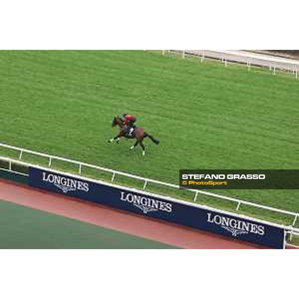 Longines Hong Kong International Races of Hong Kong - - Hong Kong, Sha Tin - 6 December 2023 - ph.Stefano Grasso/Longines Morning track works Prognosis