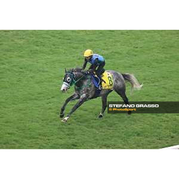 Longines Hong Kong International Races of Hong Kong - - Hong Kong, Sha Tin - 6 December 2023 - ph.Stefano Grasso/Longines Morning track works Mad Cool