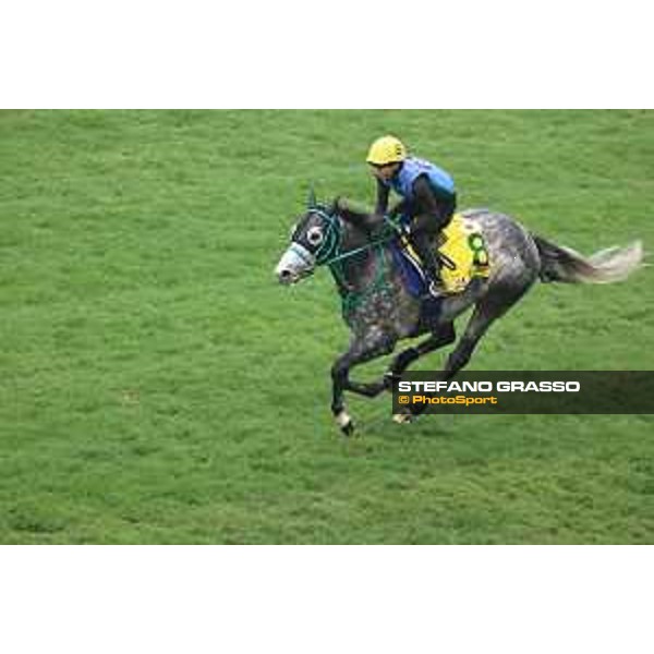 Longines Hong Kong International Races of Hong Kong - - Hong Kong, Sha Tin - 6 December 2023 - ph.Stefano Grasso/Longines Morning track works Mad Cool