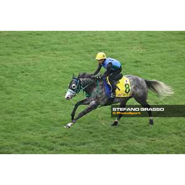 Longines Hong Kong International Races of Hong Kong - - Hong Kong, Sha Tin - 6 December 2023 - ph.Stefano Grasso/Longines Morning track works Mad Cool
