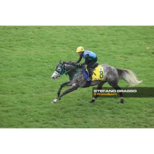 Longines Hong Kong International Races of Hong Kong - - Hong Kong, Sha Tin - 6 December 2023 - ph.Stefano Grasso/Longines Morning track works Mad Cool