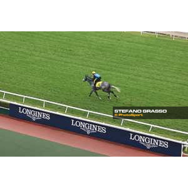Longines Hong Kong International Races of Hong Kong - - Hong Kong, Sha Tin - 6 December 2023 - ph.Stefano Grasso/Longines Morning track works Mad Cool