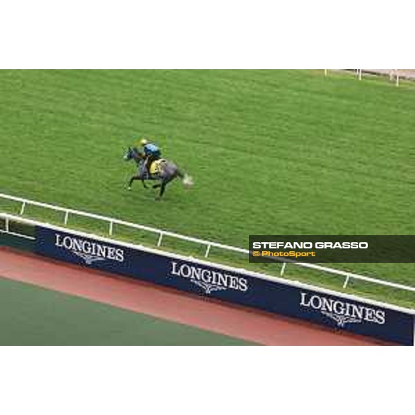 Longines Hong Kong International Races of Hong Kong - - Hong Kong, Sha Tin - 6 December 2023 - ph.Stefano Grasso/Longines Morning track works Mad Cool