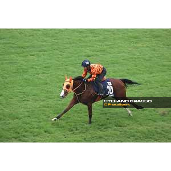 Longines Hong Kong International Races of Hong Kong - - Hong Kong, Sha Tin - 6 December 2023 - ph.Stefano Grasso/Longines Morning track works Namur
