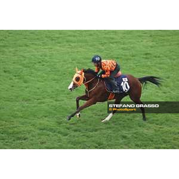 Longines Hong Kong International Races of Hong Kong - - Hong Kong, Sha Tin - 6 December 2023 - ph.Stefano Grasso/Longines Morning track works Namur