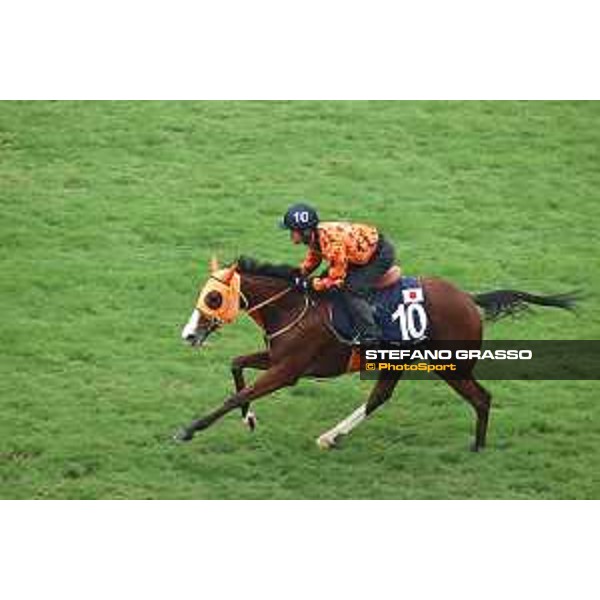 Longines Hong Kong International Races of Hong Kong - - Hong Kong, Sha Tin - 6 December 2023 - ph.Stefano Grasso/Longines Morning track works Namur