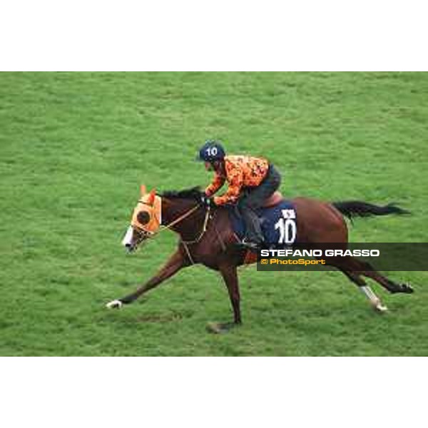 Longines Hong Kong International Races of Hong Kong - - Hong Kong, Sha Tin - 6 December 2023 - ph.Stefano Grasso/Longines Morning track works Namur