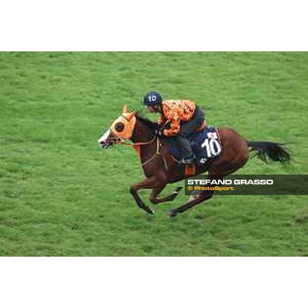 Longines Hong Kong International Races of Hong Kong - - Hong Kong, Sha Tin - 6 December 2023 - ph.Stefano Grasso/Longines Morning track works Namur