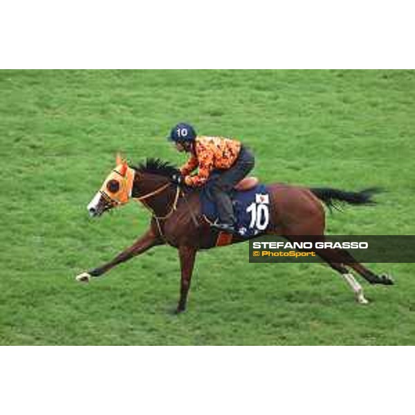 Longines Hong Kong International Races of Hong Kong - - Hong Kong, Sha Tin - 6 December 2023 - ph.Stefano Grasso/Longines Morning track works Namur