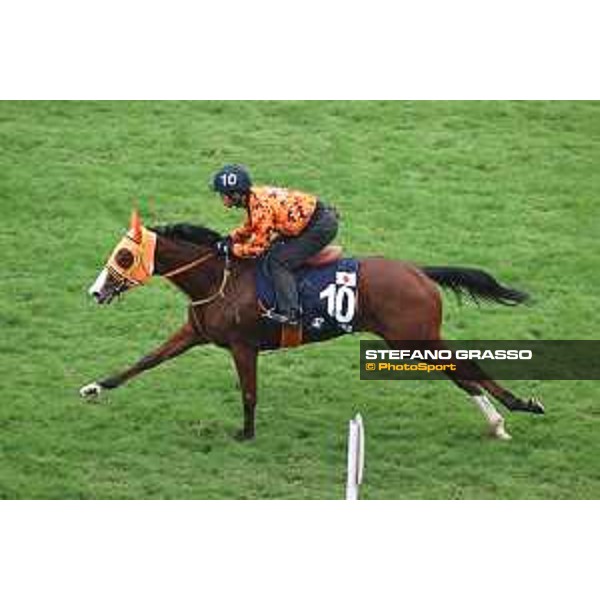 Longines Hong Kong International Races of Hong Kong - - Hong Kong, Sha Tin - 6 December 2023 - ph.Stefano Grasso/Longines Morning track works Namur