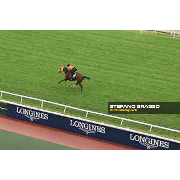 Longines Hong Kong International Races of Hong Kong - - Hong Kong, Sha Tin - 6 December 2023 - ph.Stefano Grasso/Longines Morning track works Namur