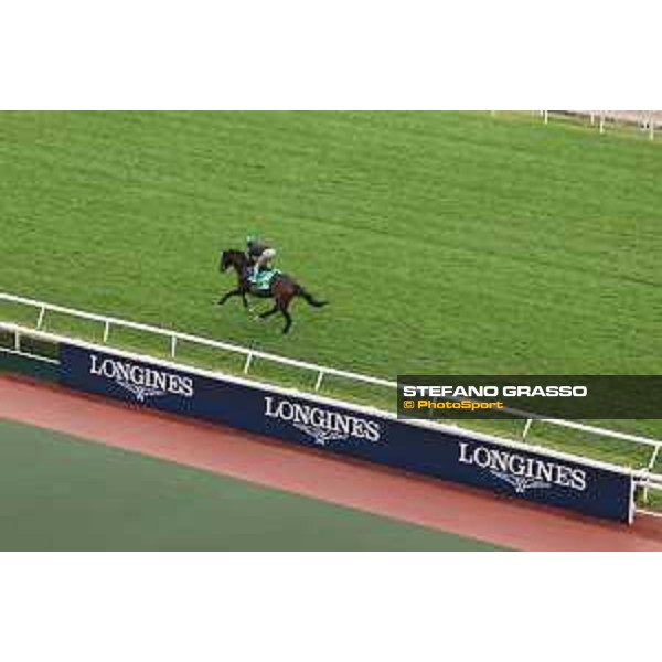 Longines Hong Kong International Races of Hong Kong - - Hong Kong, Sha Tin - 6 December 2023 - ph.Stefano Grasso/Longines Morning track works Geraldina