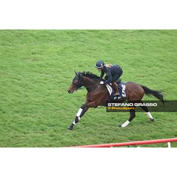Longines Hong Kong International Races of Hong Kong - - Hong Kong, Sha Tin - 6 December 2023 - ph.Stefano Grasso/Longines Morning track works Danon The Kid