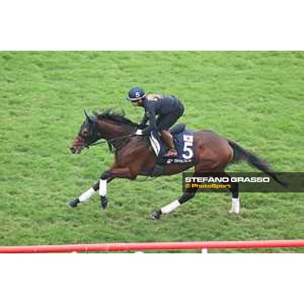Longines Hong Kong International Races of Hong Kong - - Hong Kong, Sha Tin - 6 December 2023 - ph.Stefano Grasso/Longines Morning track works Danon The Kid