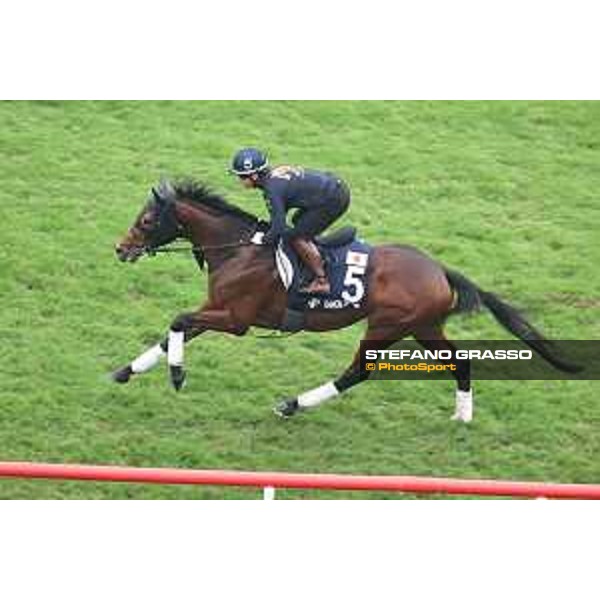 Longines Hong Kong International Races of Hong Kong - - Hong Kong, Sha Tin - 6 December 2023 - ph.Stefano Grasso/Longines Morning track works Danon The Kid