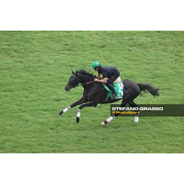 Longines Hong Kong International Races of Hong Kong - - Hong Kong, Sha Tin - 6 December 2023 - ph.Stefano Grasso/Longines Morning track works Shahryar