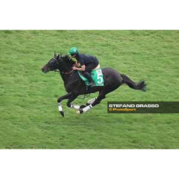 Longines Hong Kong International Races of Hong Kong - - Hong Kong, Sha Tin - 6 December 2023 - ph.Stefano Grasso/Longines Morning track works Shahryar