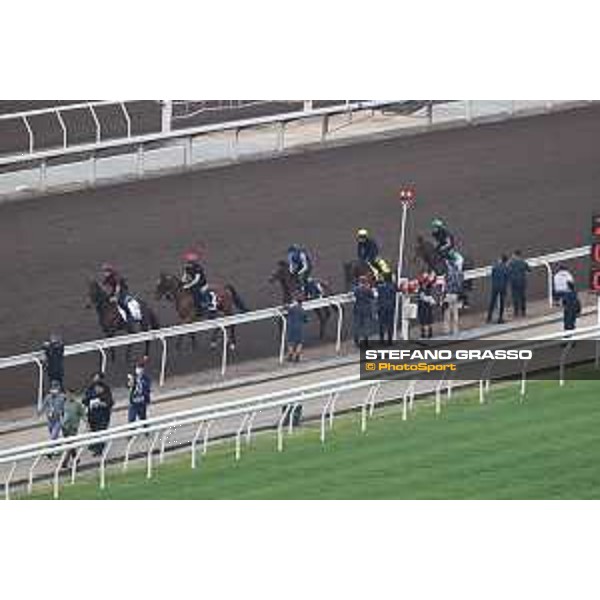 Longines Hong Kong International Races of Hong Kong - - Hong Kong, Sha Tin - 6 December 2023 - ph.Stefano Grasso/Longines Morning track works Aidan O’Brien Irish Team