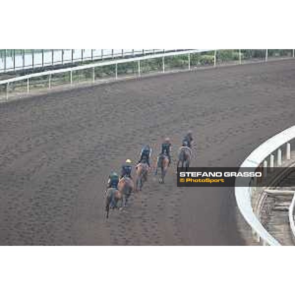Longines Hong Kong International Races of Hong Kong - - Hong Kong, Sha Tin - 6 December 2023 - ph.Stefano Grasso/Longines Morning track works Aidan O’Brien Irish Team