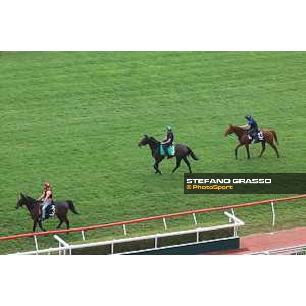 Longines Hong Kong International Races of Hong Kong - - Hong Kong, Sha Tin - 6 December 2023 - ph.Stefano Grasso/Longines Morning track works The French Contenders